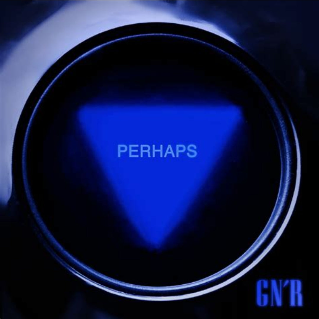 Guns N' Roses: Perhaps - Black Vinyl 7" Single