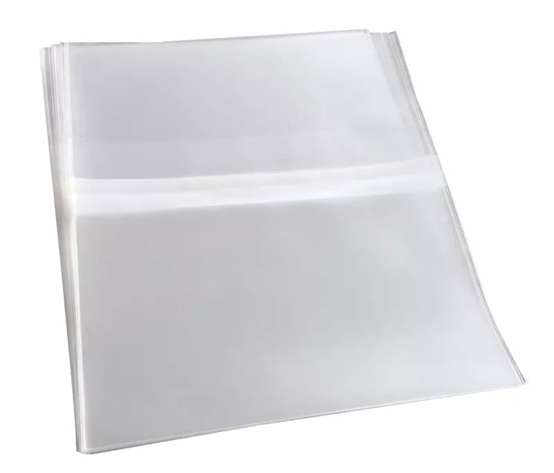 100 Double CD Resealable Japanese Sleeves for 2-4 Disc