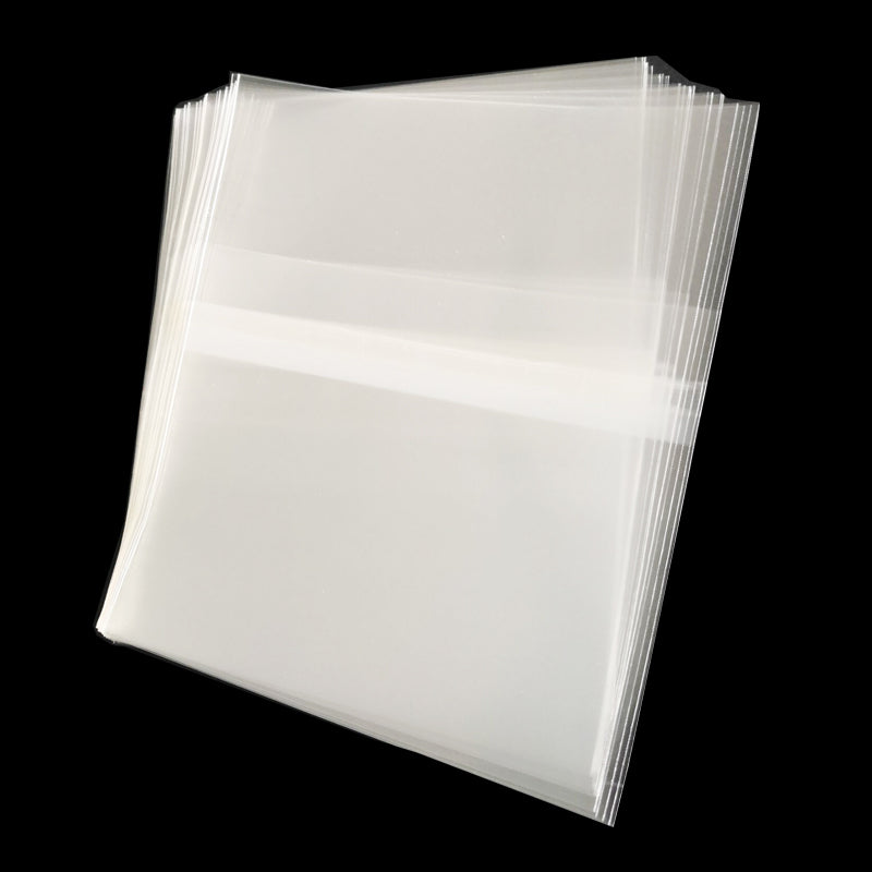 10 Double CD Resealable Japanese Sleeves for 2-4 Disc