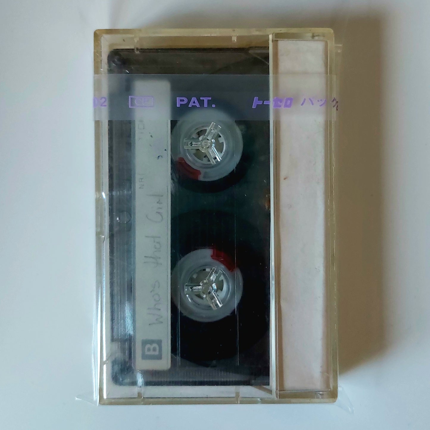 10 Resealable Japanese Cassette Sleeves