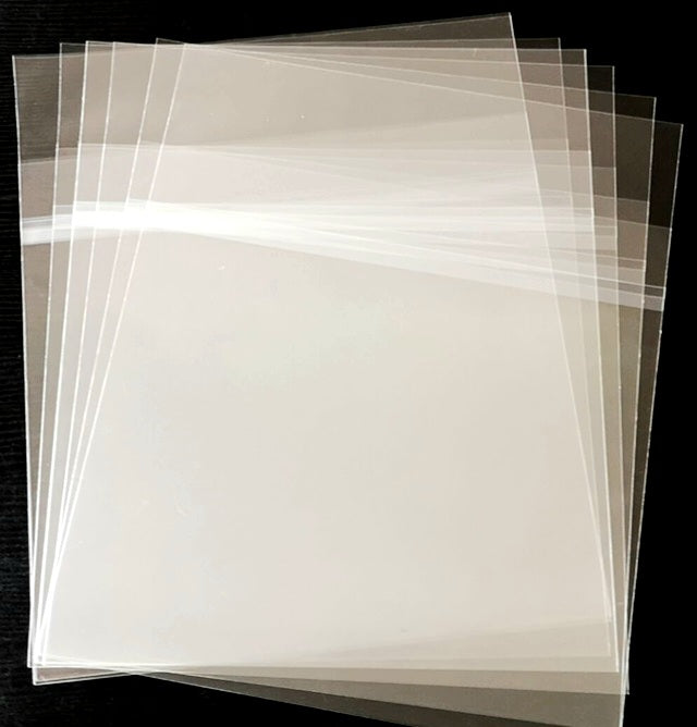 10 Semi-Double Resealable Japanese CD Sleeves