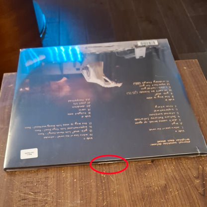 Ariana-Brighter-Days-Ahead-Turquoise-2xLP-Damage