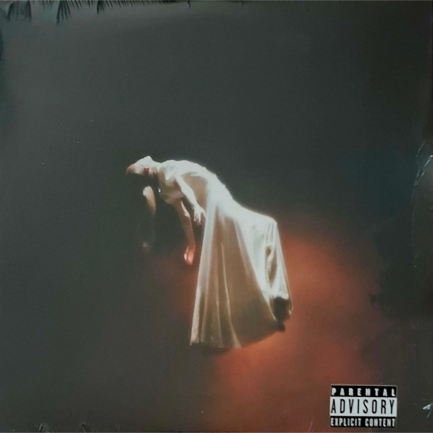 Ariana-Grande-Supernatural-Vinyl-Damaged-Sleeve