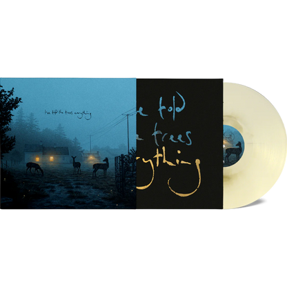 Dermot-Kennedy-Told-The-Trees-Gold-Marble-Vinyl-EP