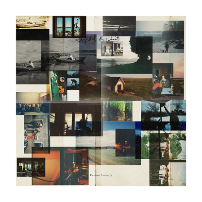 Dermot-Kennedy-Weight-Of-The-Woods-Green-LP-Poster