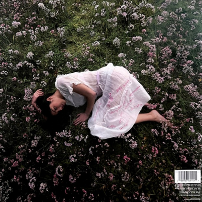 Olivia-Rodrigo-You-Seem-Pretty-Melt-With-You-Vinyl