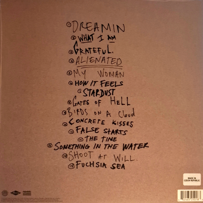 ZAYN-Room-Under-The-Stairs-2xLP-Hardwood-Vinyl