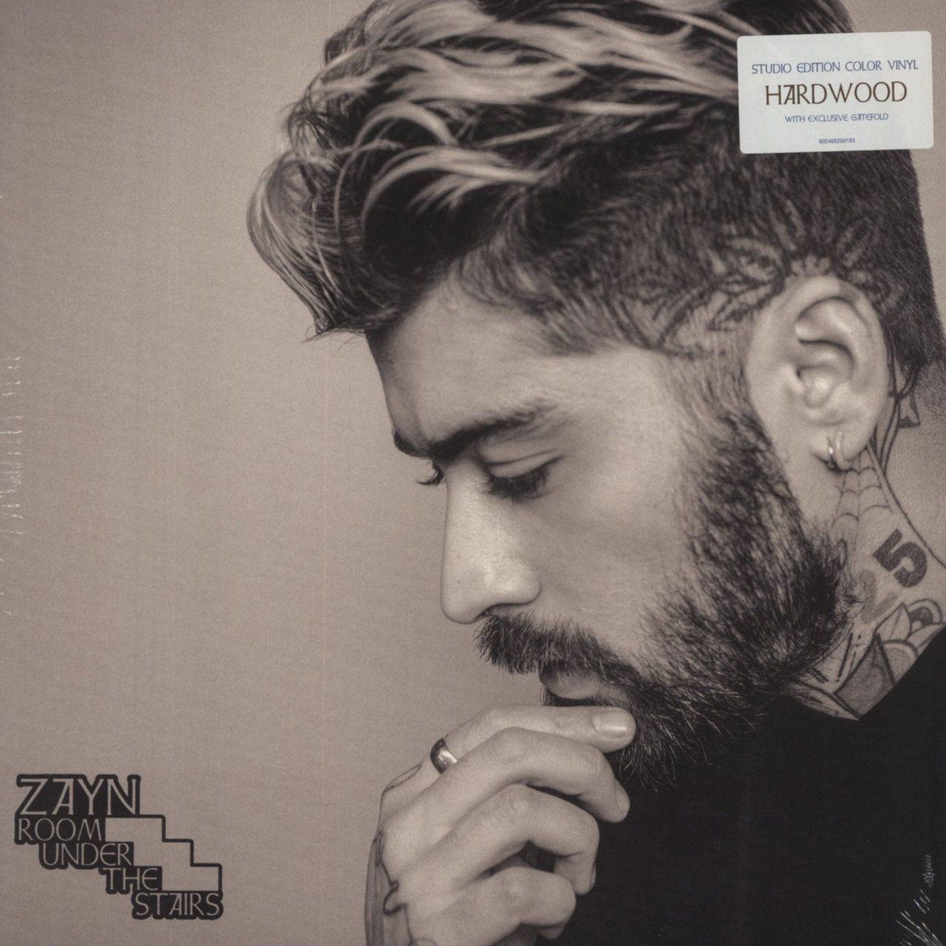 ZAYN-Room-Under-The-Stairs-Hardwood-2xLP-Alt-Art